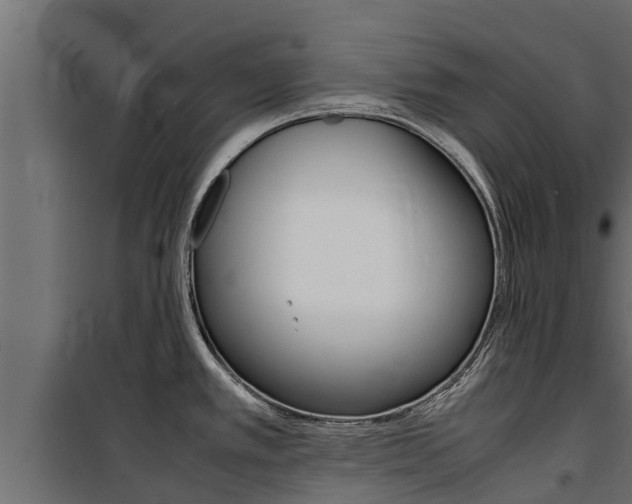 X0000100771389200806190923
