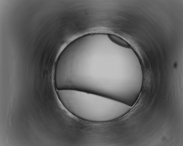 X0000100771390200806190923
