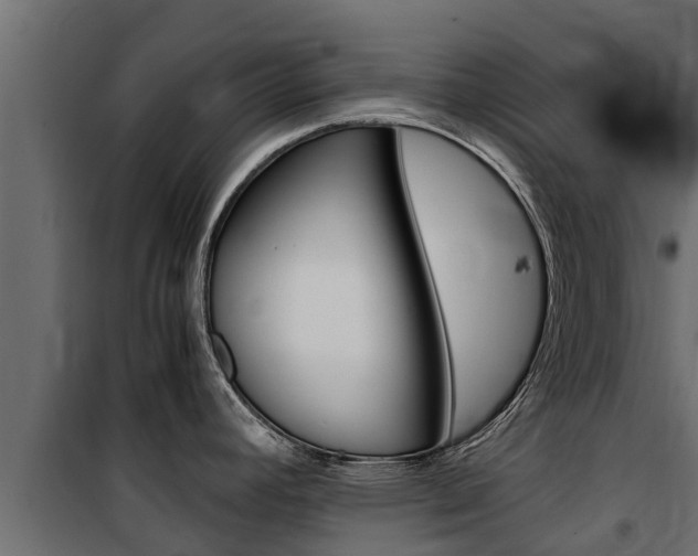 X0000100771392200806190923