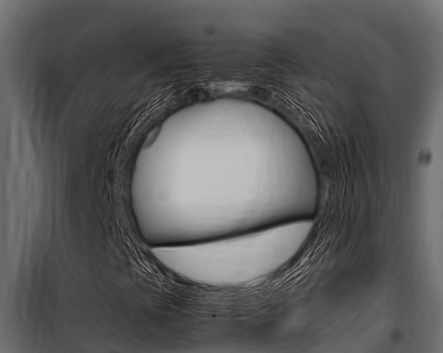 X0000100771393200806190922