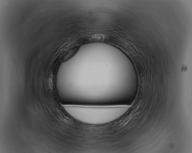 X0000100771394200806190922