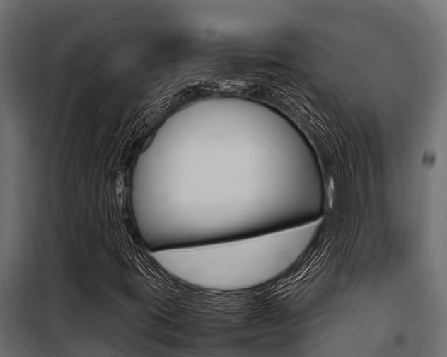 X0000100771395200806190922
