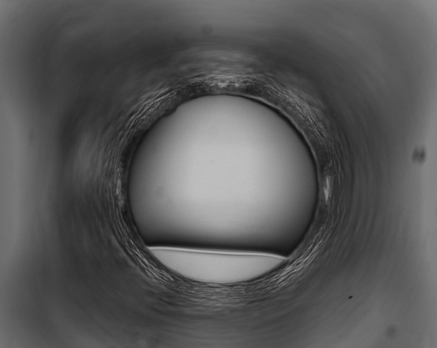X0000100771396200806190922