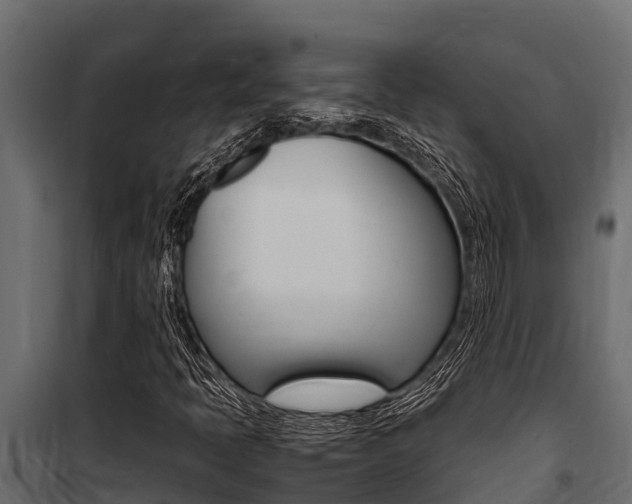 X0000100771397200806190922