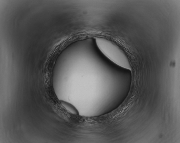 X0000100771398200806190922