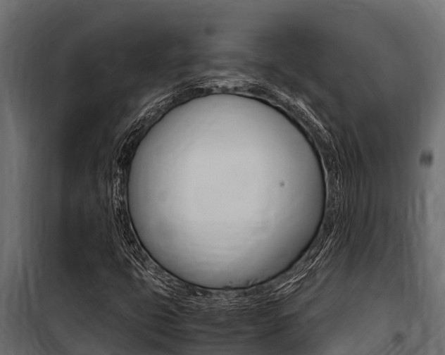 X0000100771399200806190922