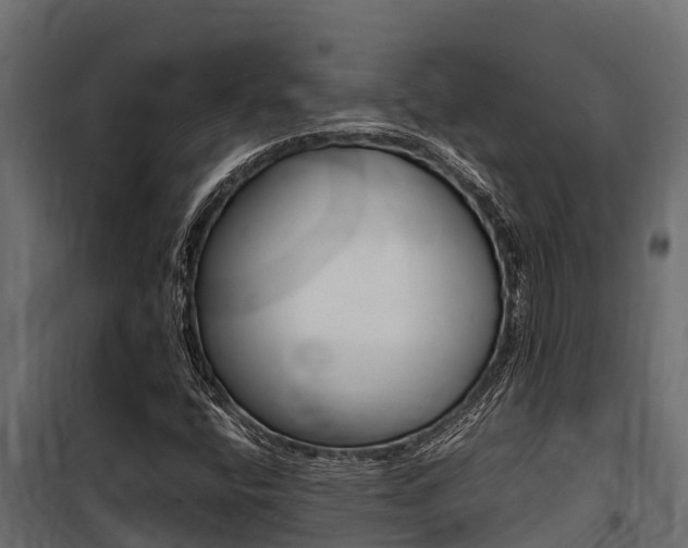 X0000100771400200806190922