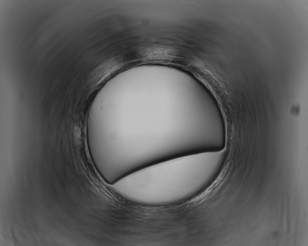 X0000100771401200806190922