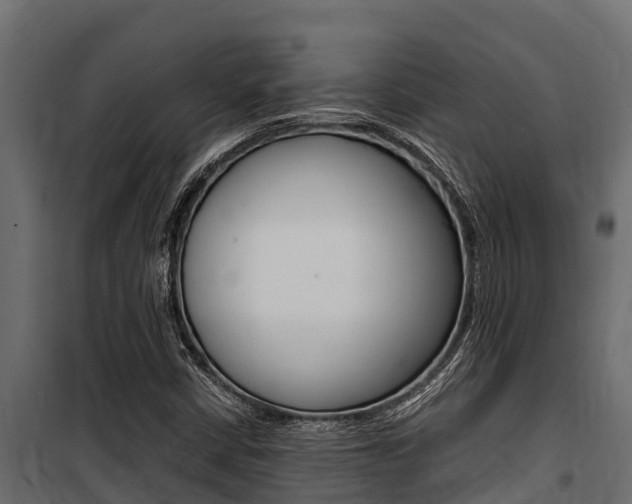 X0000100771402200806190922