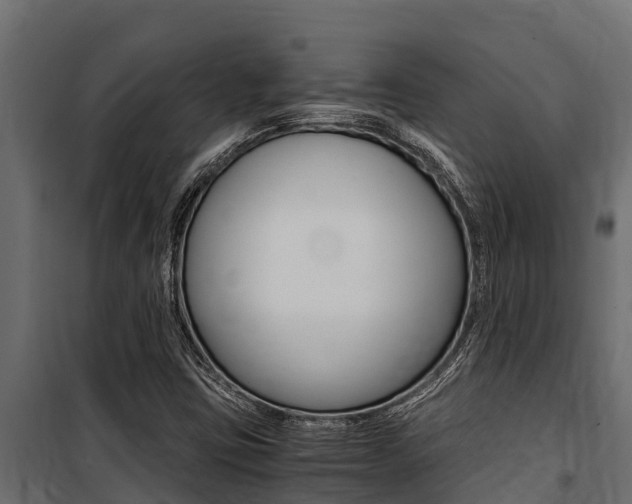 X0000100771403200806190922