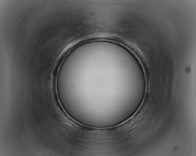 X0000100771404200806190922