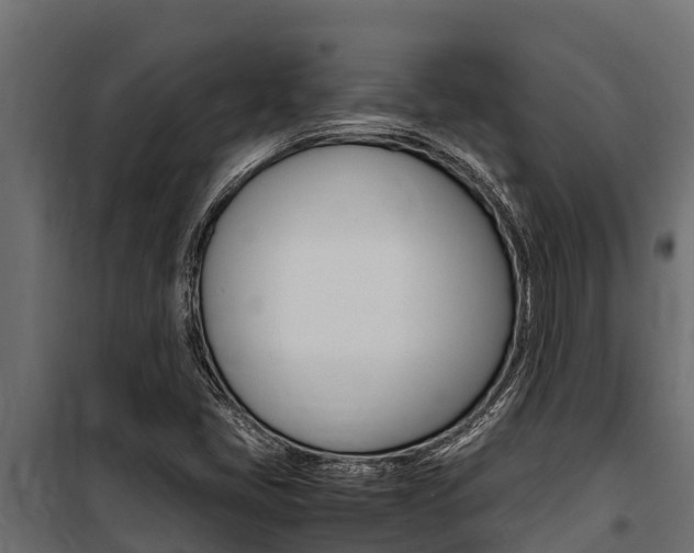 X0000100771405200806190922