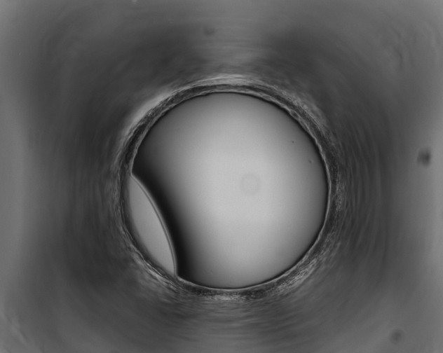 X0000100771406200806190922
