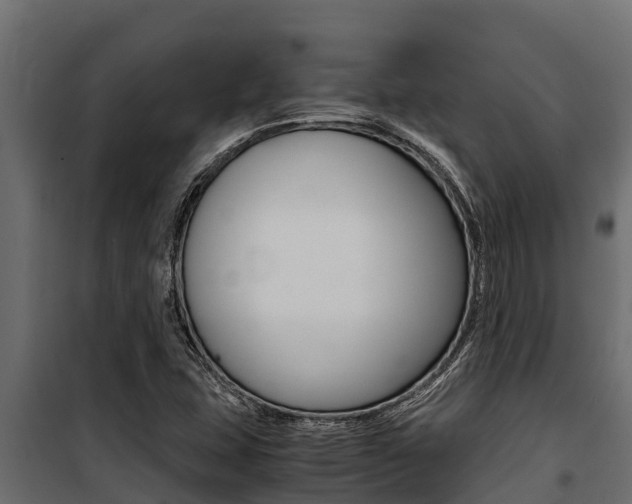 X0000100771407200806190922
