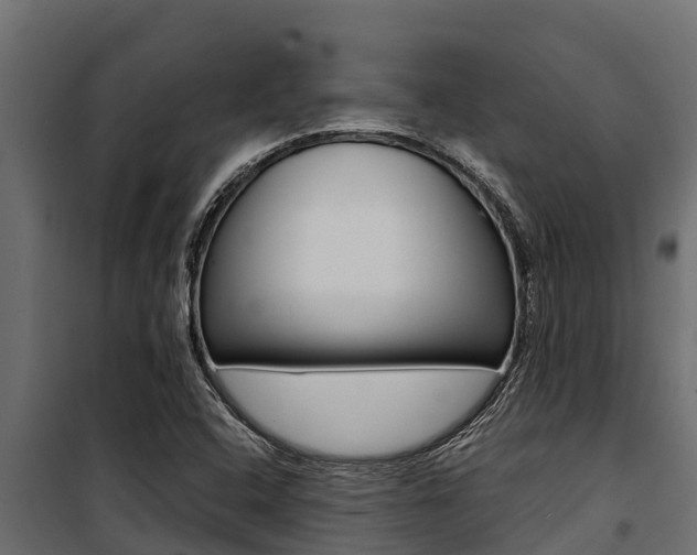 X0000100771408200806190922