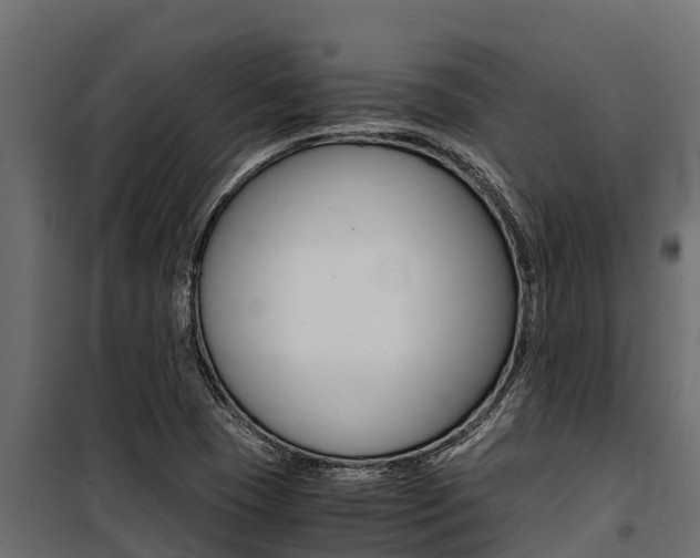 X0000100771409200806190922
