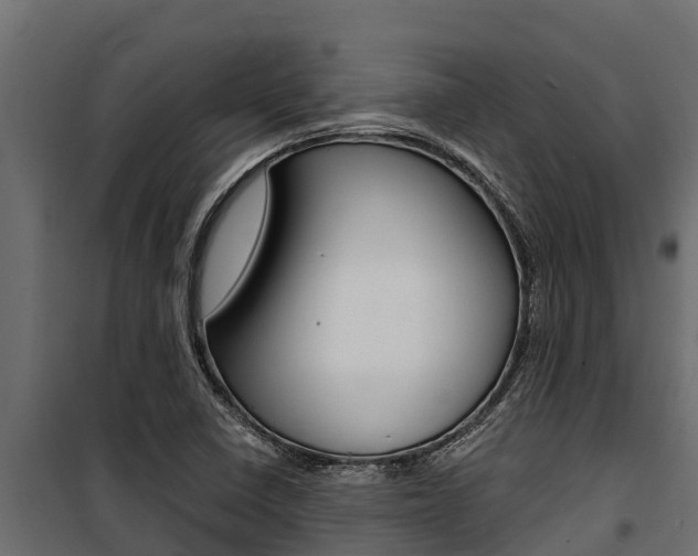 X0000100771410200806190922