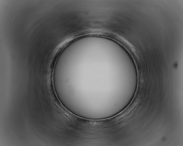 X0000100771411200806190922