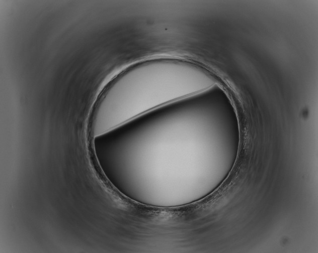 X0000100771412200806190922