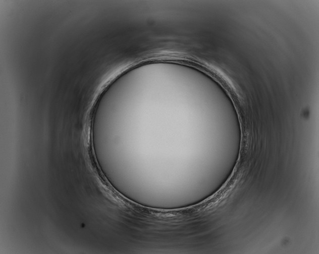 X0000100771413200806190922