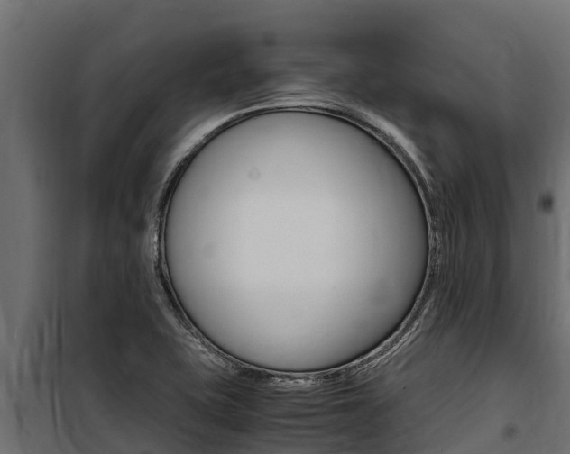 X0000100771415200806190922