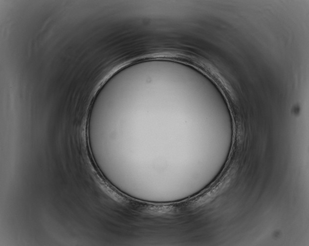 X0000100771417200806190922
