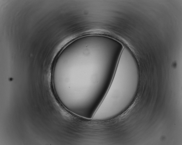 X0000100771418200806190922
