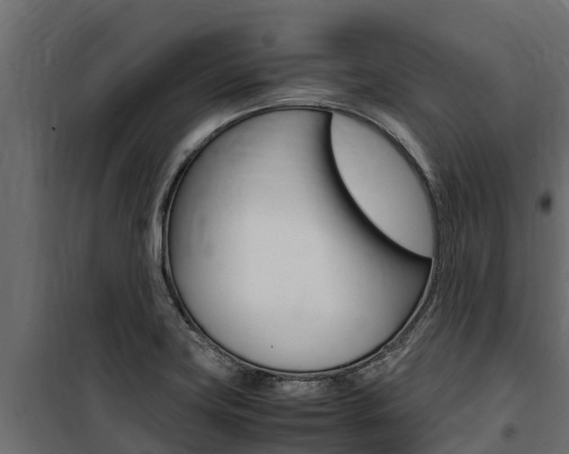 X0000100771419200806190922