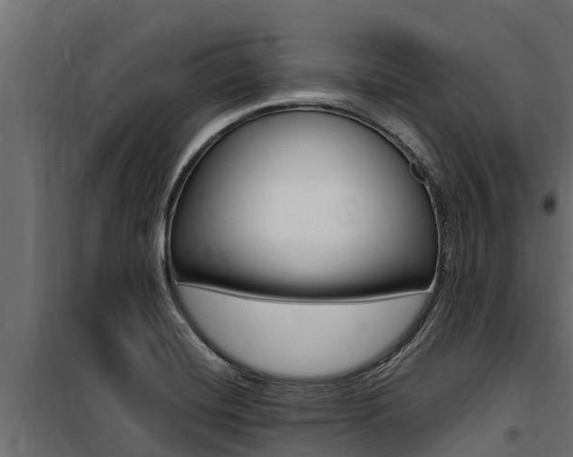 X0000100771420200806190922