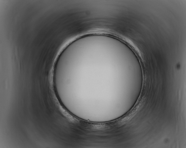 X0000100771421200806190922