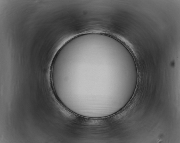 X0000100771423200806190922