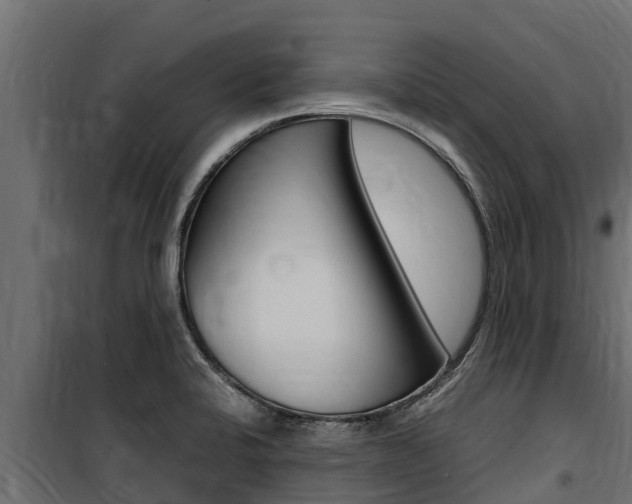 X0000100771424200806190922