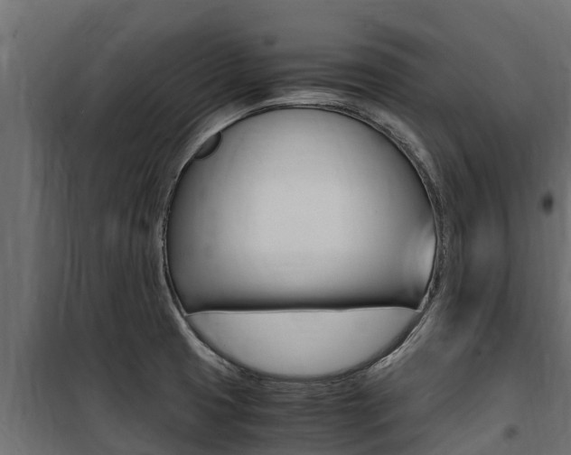 X0000100771425200806190922