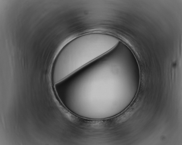 X0000100771426200806190922