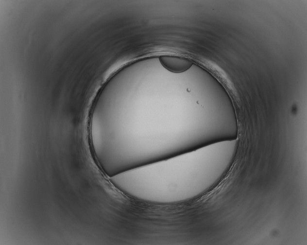 X0000100771427200806190922