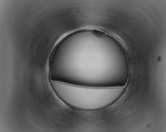 X0000100771428200806190922