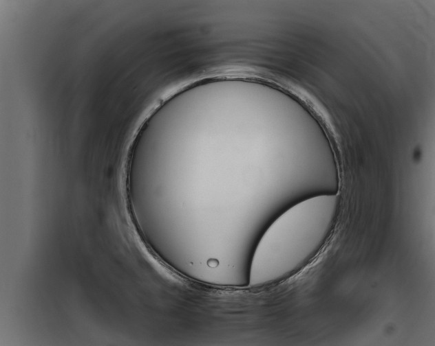 X0000100771429200806190922