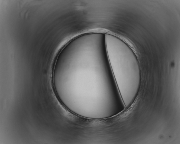 X0000100771430200806190922
