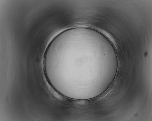 X0000100771431200806190923
