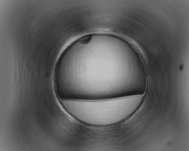 X0000100771432200806190923