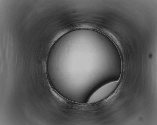 X0000100771433200806190923