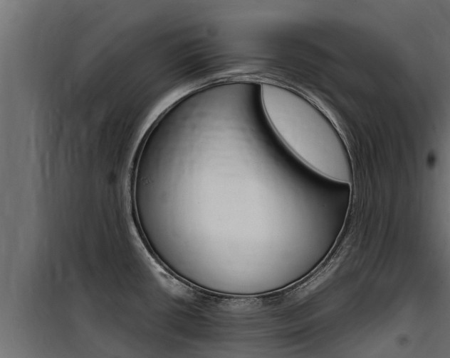 X0000100771434200806190923