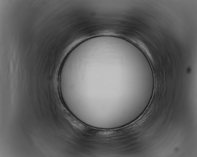 X0000100771435200806190923