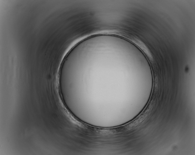 X0000100771436200806190923
