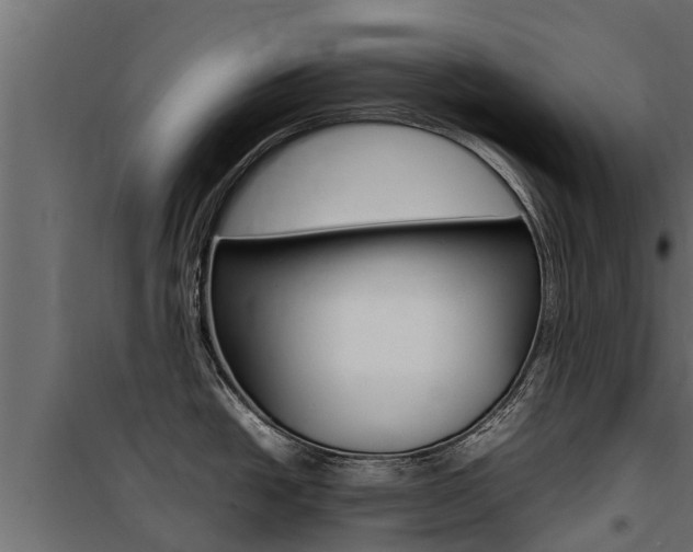 X0000100771438200806190923