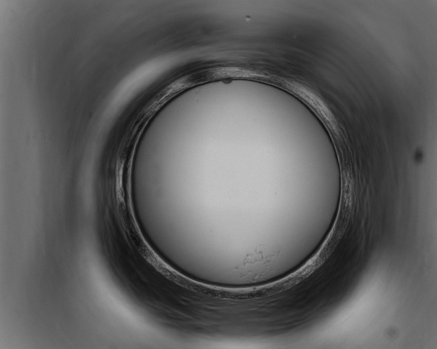 X0000100771439200806190923
