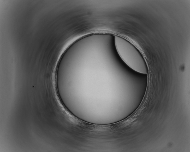 X0000100771440200806190923