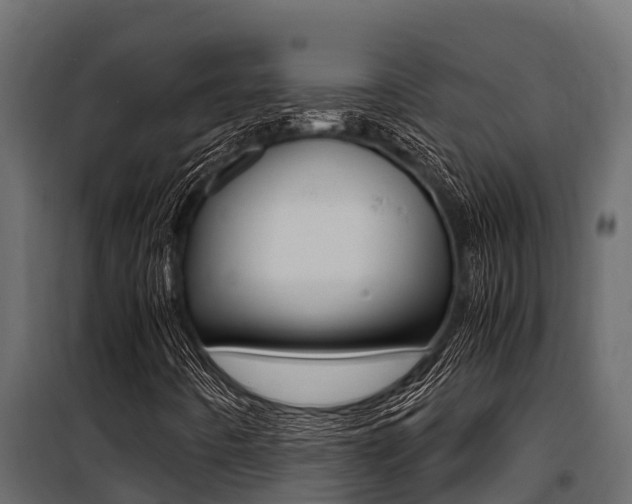 X0000100771442200806190922