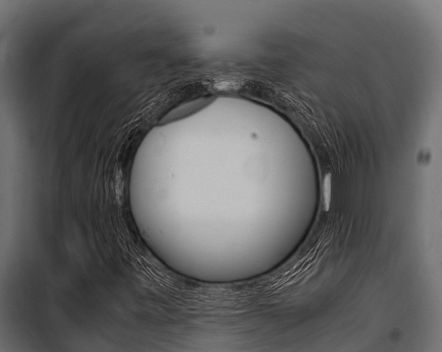 X0000100771443200806190922
