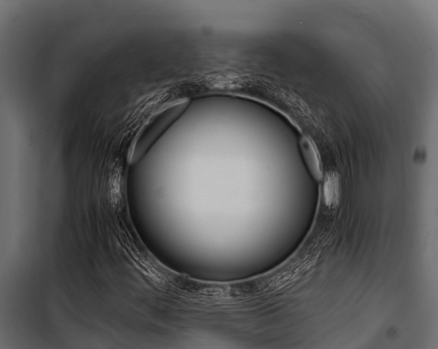 X0000100771444200806190922